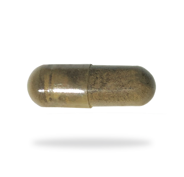 Berberine